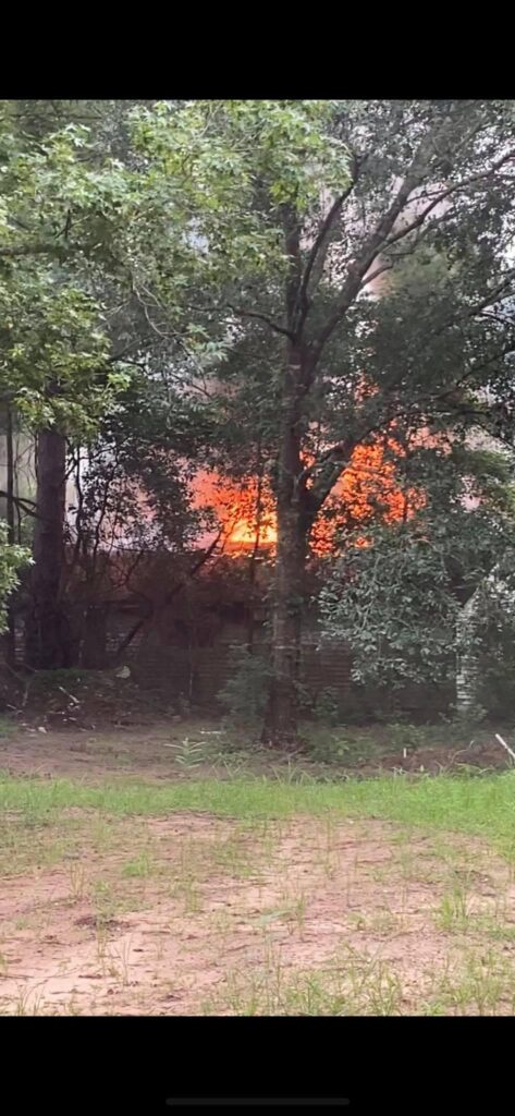 Flames are visible through dense trees, suggesting a fire behind a wooded area. The ground is grassy, and the trees are lush green, partially obscuring the bright orange fire.